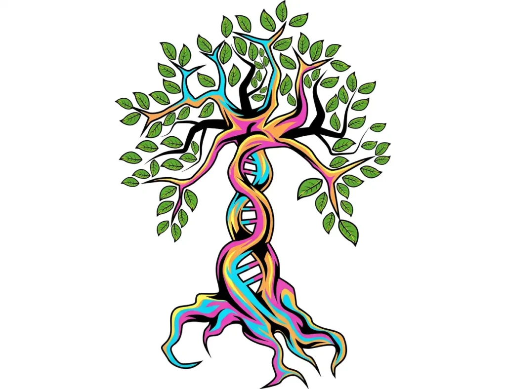 Research Page DNA tree 2